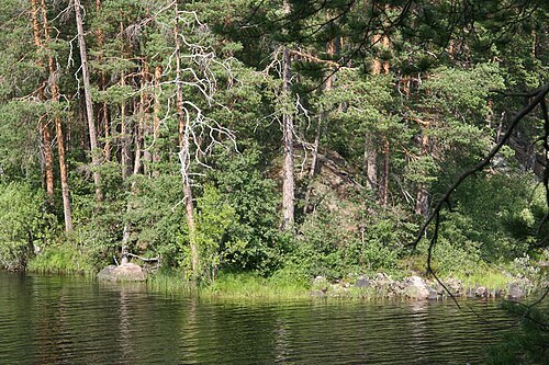 North Karelian Biosphere Reserve