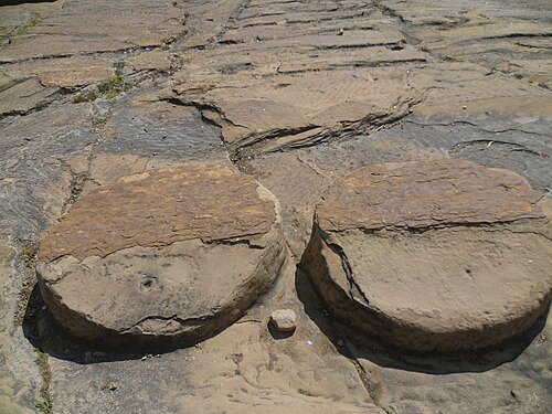 Cojines del Zaque