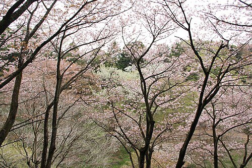 Tama Forest Science Garden