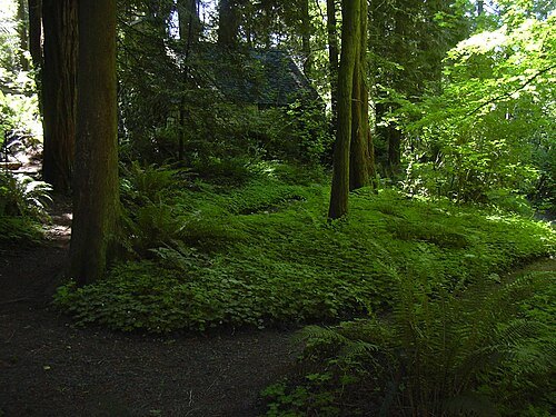 Leach Botanical Garden