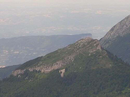 Pinéa