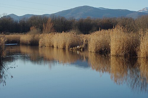 réserve naturelle régionale des marais et landes du Rothmoos