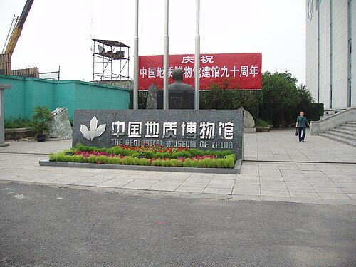 中国地质博物馆