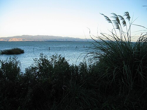 Lake Wairarapa