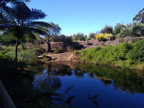 Illawarra Grevillea Park