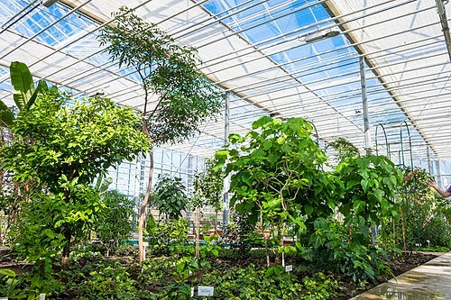 National Botanic Garden of Latvia