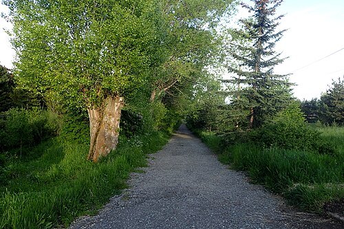 Sevan Botanical Garden