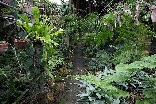 Jardín de los Helechos de Santiago de Cuba