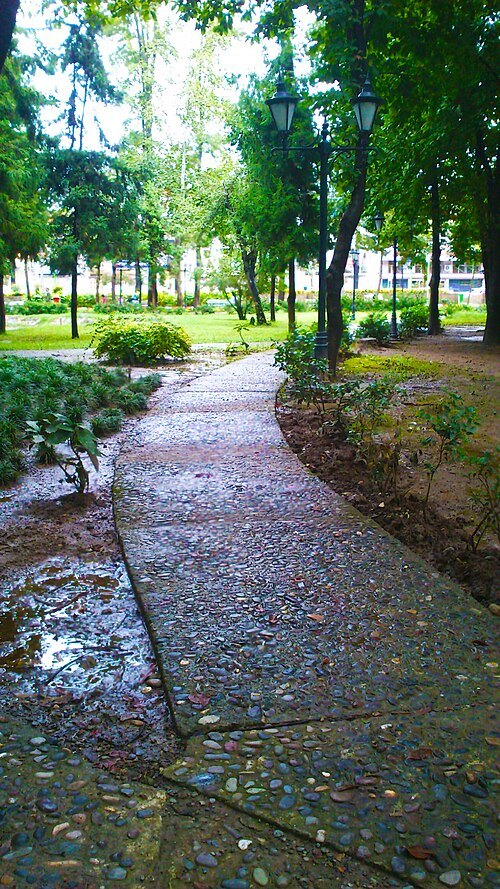 City Park