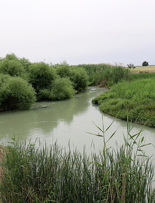 Shavur River