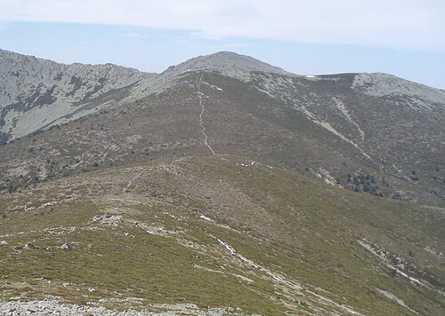 La Pinareja
