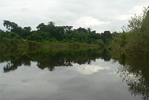 Ibare River