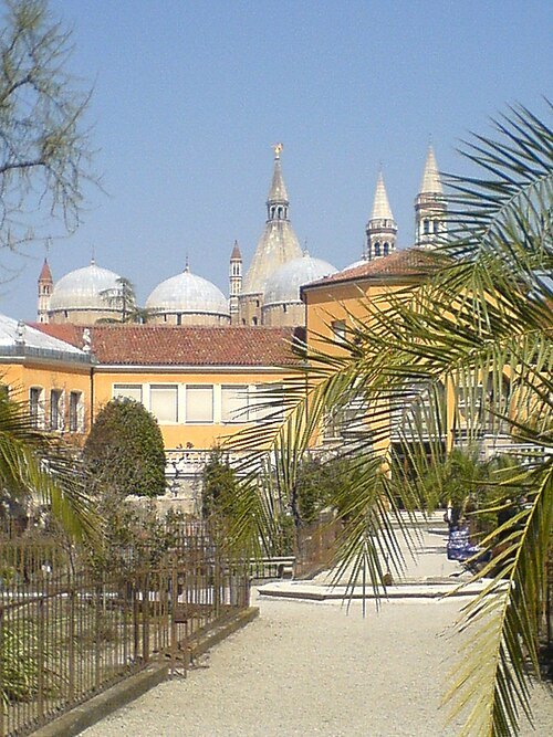 Padova botanical garden