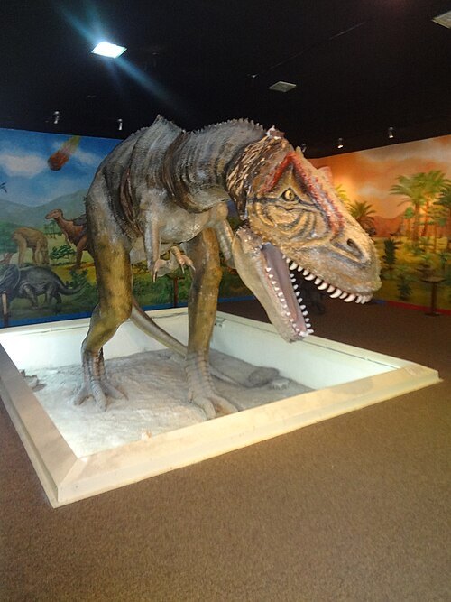 Gustavo Orcés V. Natural History Museum