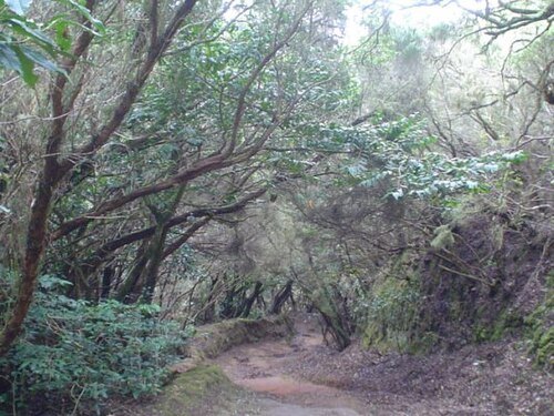 Anaga Rural Park