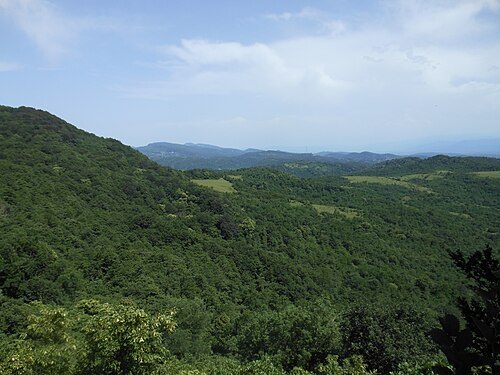 Sataplia Managed Reserve