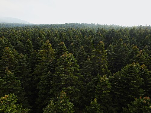Uludağ National Park