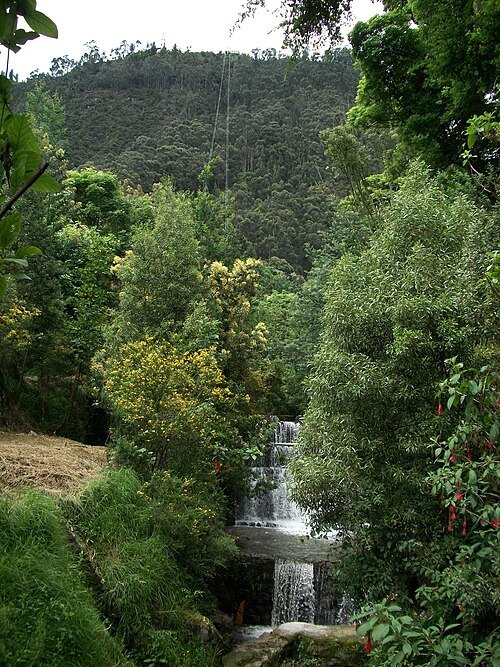 San Francisco River