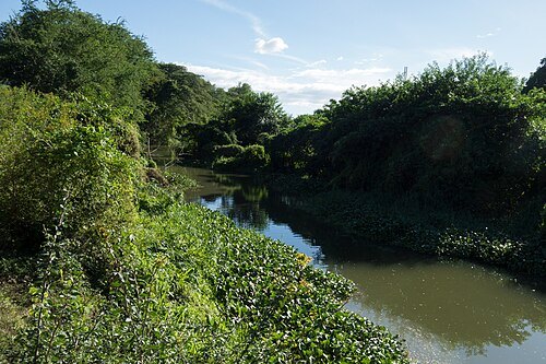 Jaibo River