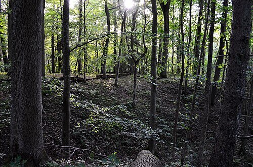 Kukuliškiai hillfort