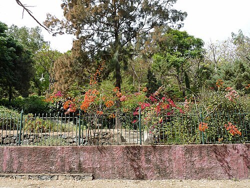 Jardim Botânico