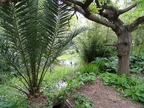 Jardin botanique de la Villa Thuret