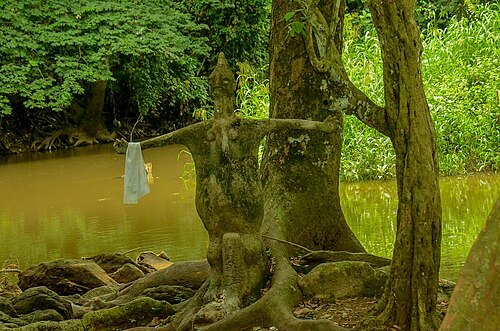 Osun-Osogbo Grove