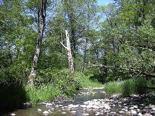 Johnson Creek