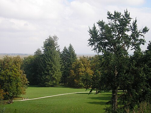 Opeka Arboretum