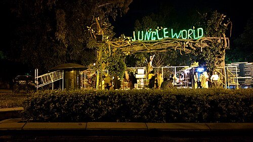 Jungle World