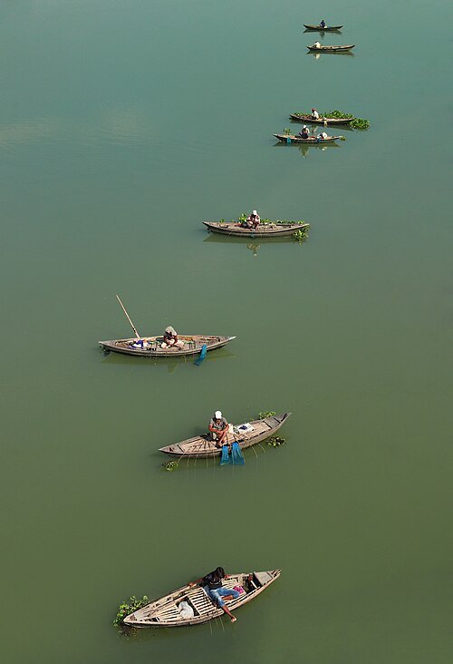 Jamuna Bridge West Bank Eco-Park