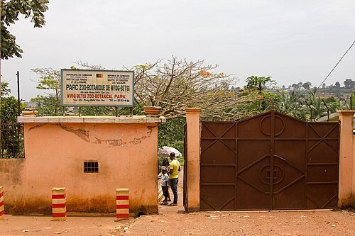 Mvog-Betsi Zoo