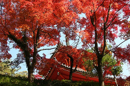 三瀧寺