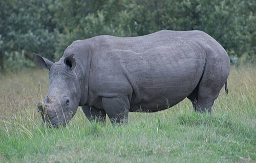 Kigio Wildlife Conservancy