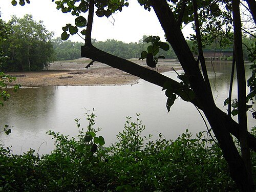 双溪布洛湿地保护区