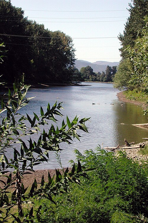 Columbia Slough