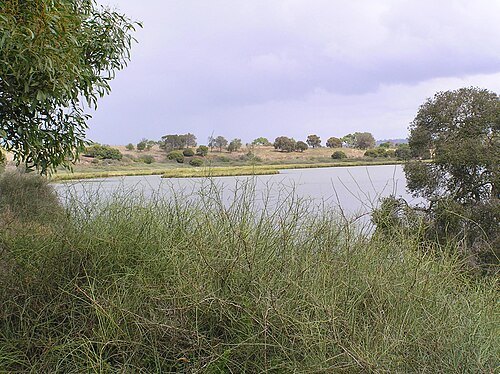 Lake Connewarre