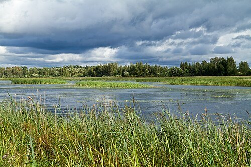 Drujka Lake
