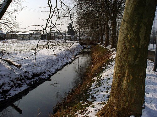 Federbach