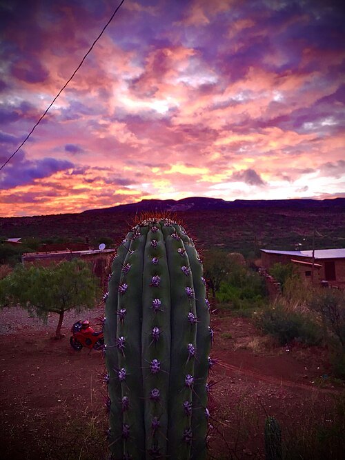 El Cardón Natural Park and Integrated Management Natural Area