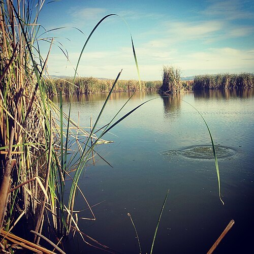 Vasileva Lake