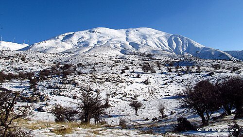 Panachaiko (Παναχαϊκό)