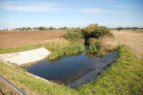 Svitene
