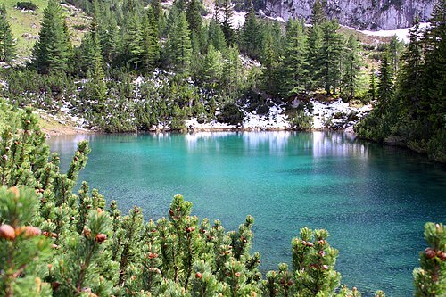 Little Lake Lićenat
