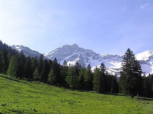 Naafkopf