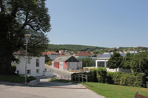 Wiesen