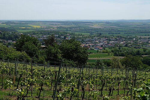 Markt Neuhodis