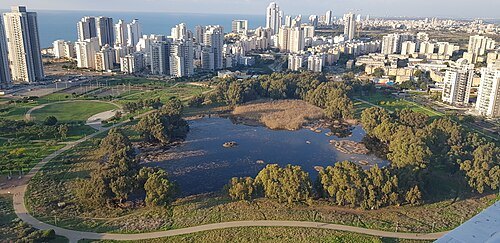 Netanya winter pond park