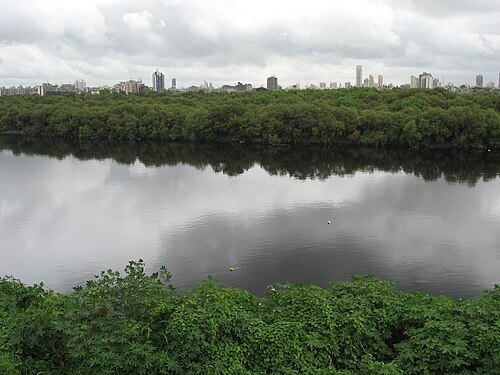 Mithi River