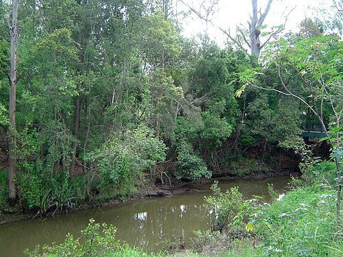 Moggill Creek